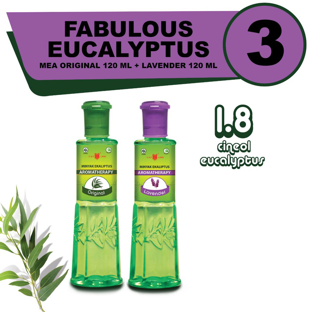 

Fabulous Eucalyptus 3