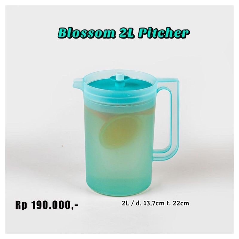 pitcher 2L tosca