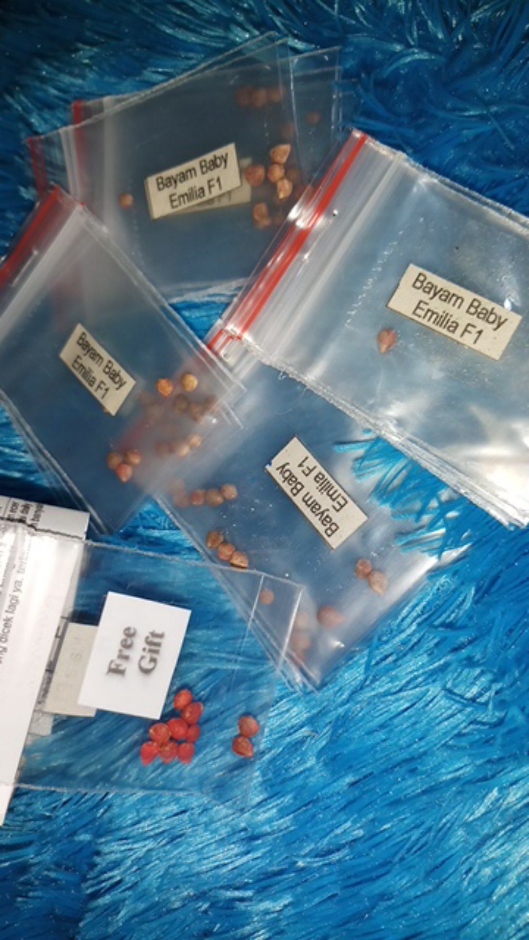 Sd26/3 - Benih Biji Bibit Unggul Kemasan Seribu Bayam Baby Baby Spinach Emilia F1 Import