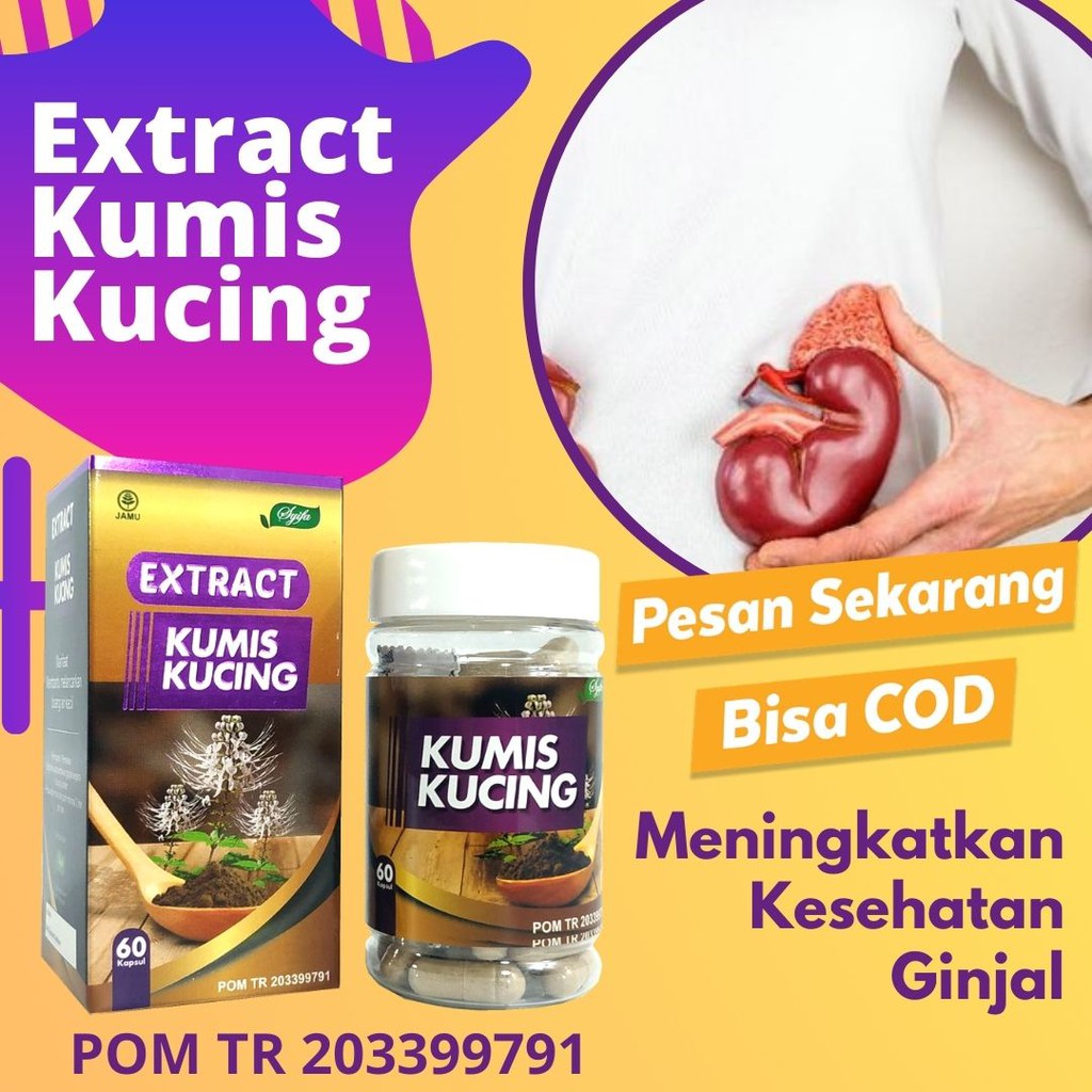 EXTRACT KUMIS KUCING SYIFA OBAT HERBAL OBAT AMPUI ATASI INFEKSI SALURAN AIR KENCING , KANDUNG KEMIH 60 KAPSUL COD