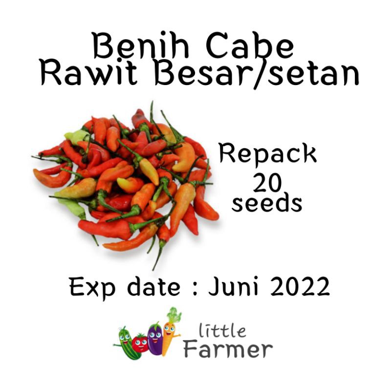 Benih cabe rawit besar setan repack