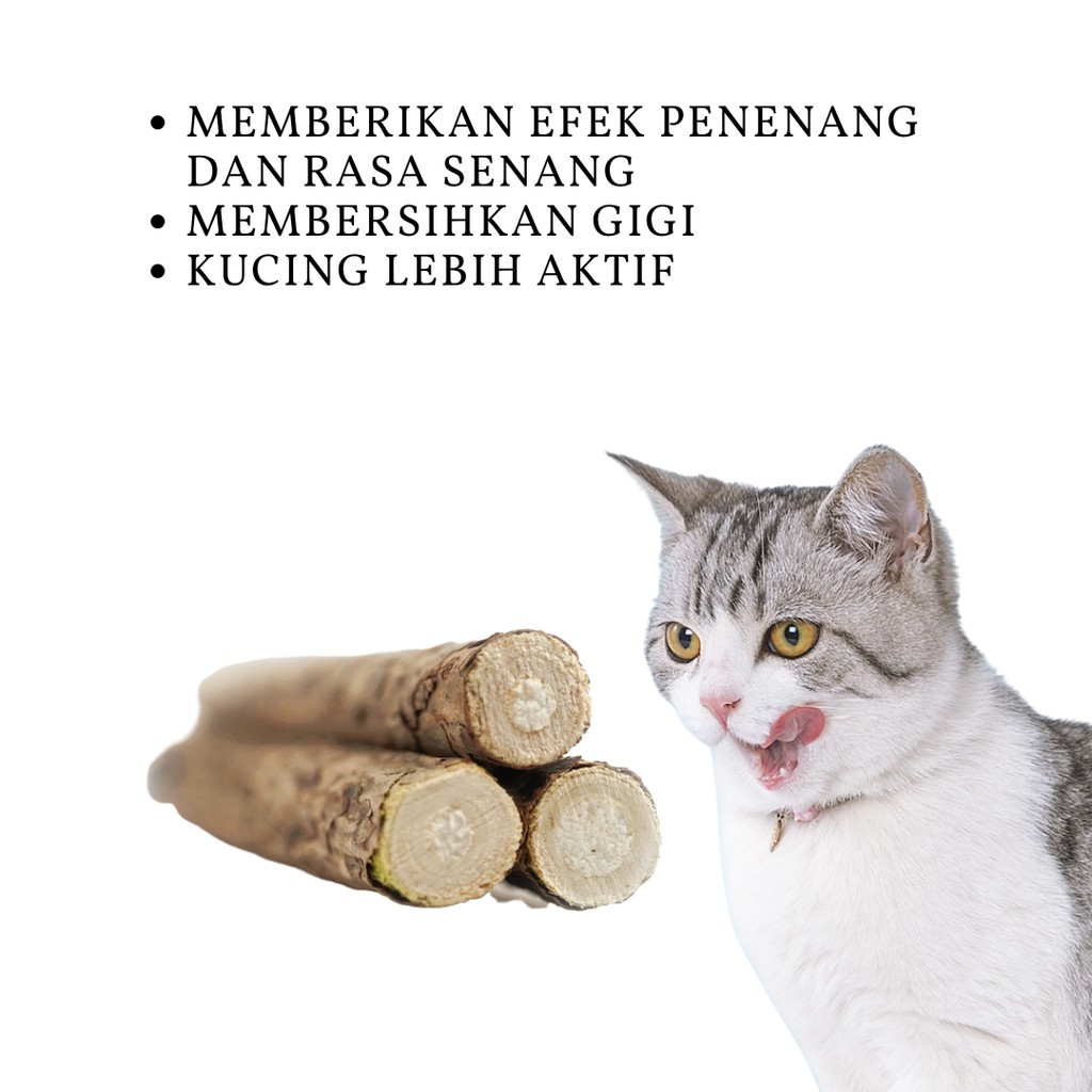 Catnip Stick / Lollipop / Snack Kucing Mainan Catnip Bahan Alami