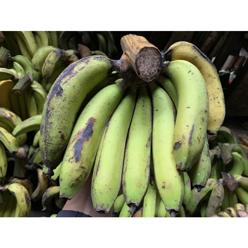 

Pisang Ambon Lumut (1 sisir)