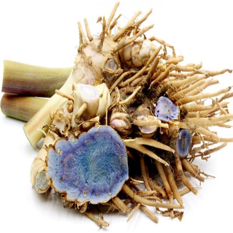 Temu ireng/Temu Hitam