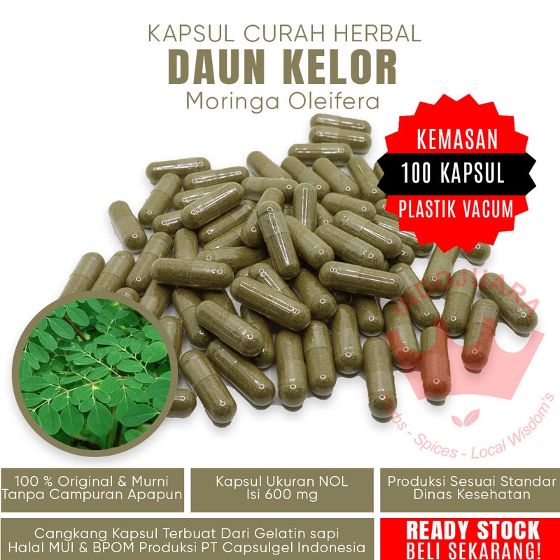 

100 Kapsul DAUN KELOR Herbal Pembangkit Libido Kepadatan Tulang Anemia