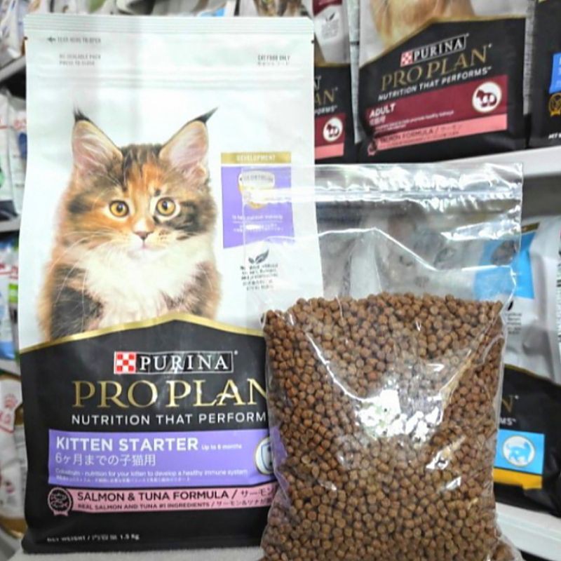 Pro Plan Proplan Kitten Starter (Salmon) 8kg Freshpack