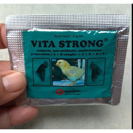 Vita Strong untuk Anak Ayam Burung dan Bebek