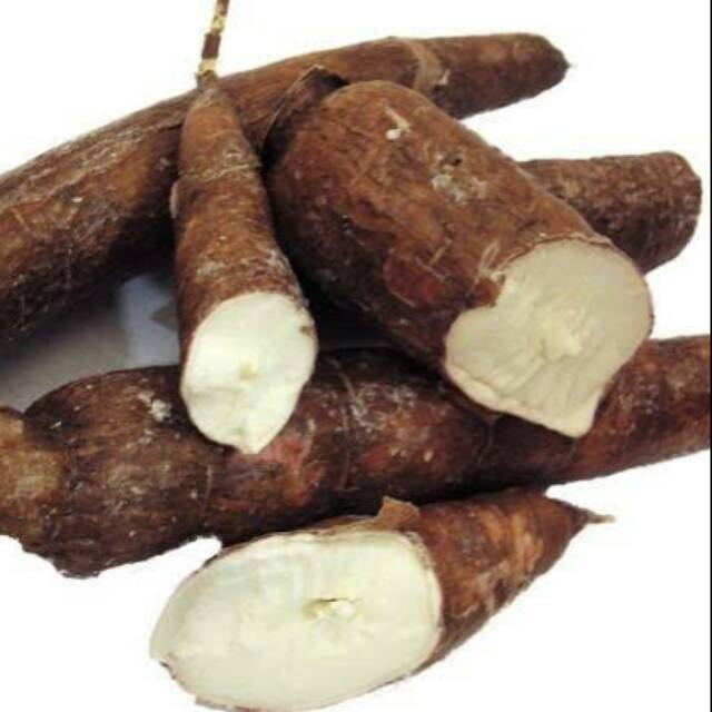 

Singkong Segar / Cassava