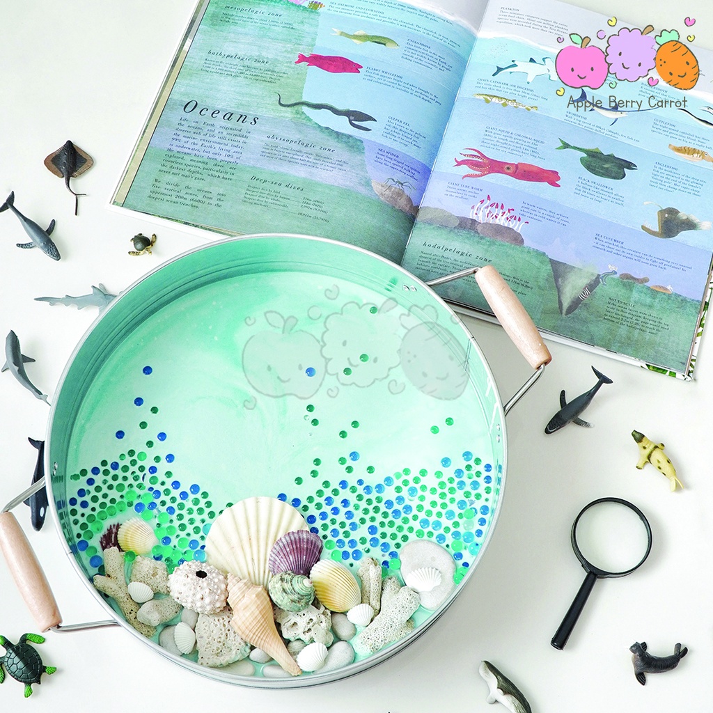 SENSORY PLAY ROUND TRAY - BULAT