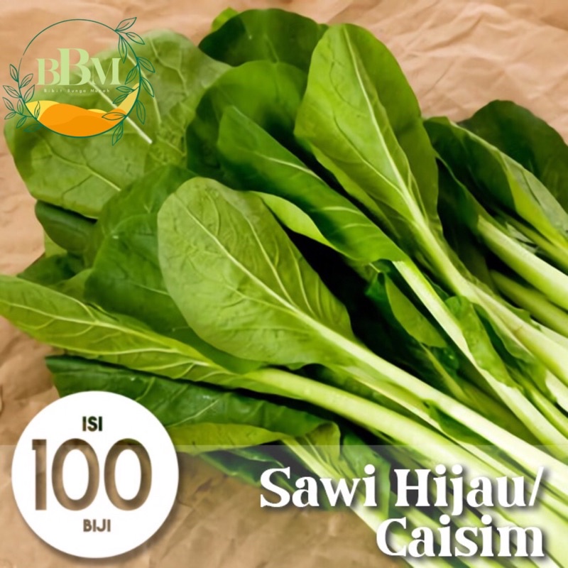 Benih/ Biji Sawi Hijau