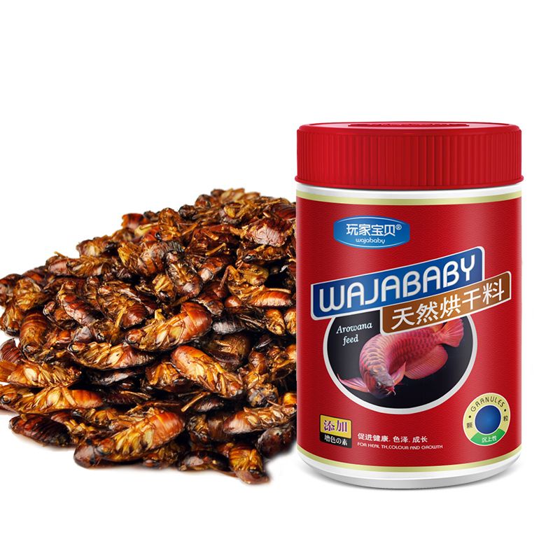 Kecoa kering Wajababy isi 500ml pelet impor ikan predator