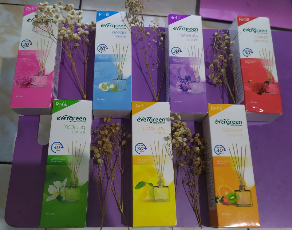 Evergreen Reed Diffuser Refill 30 Ml