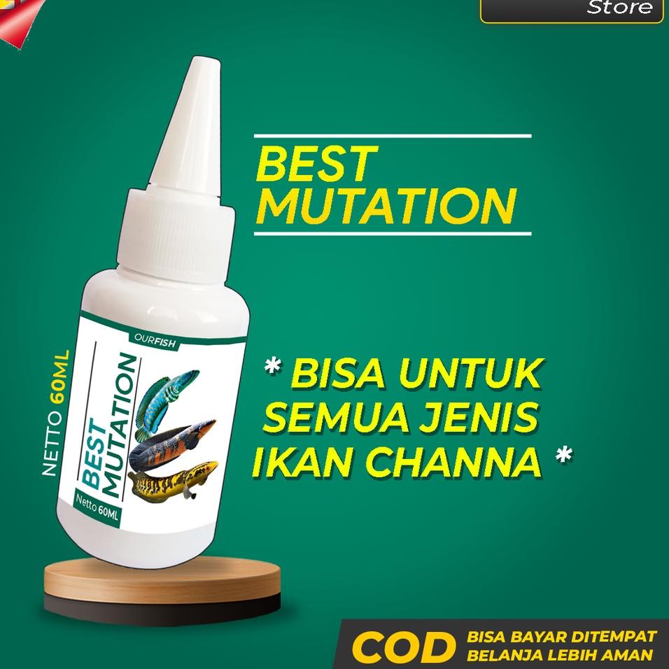 [SKU : EHGjk] Obat Mutasi Ikan Channa BEST MUTATION Vitamin Ikan Channa Maru Barca Asiatica Andrao Y