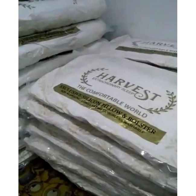 bantal harvest Guling Harvest