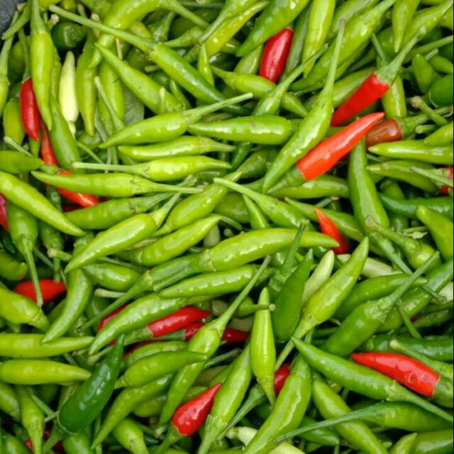 

Cabe rawit hijau