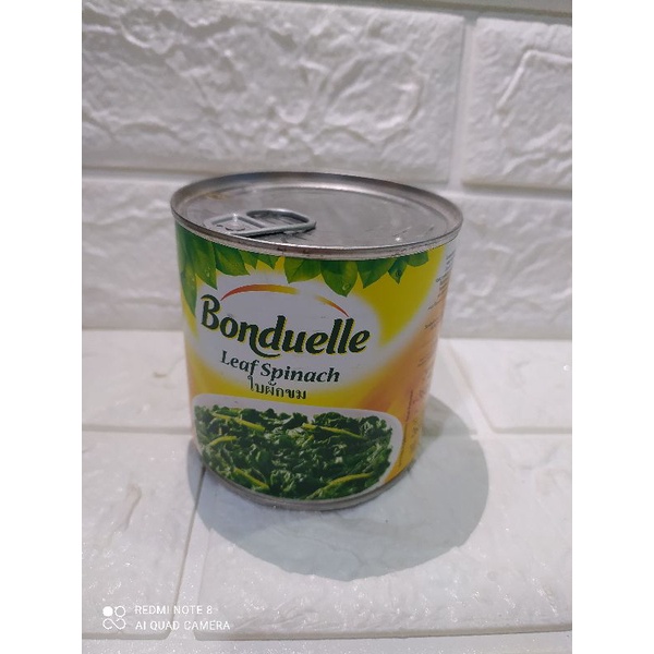 

Bonduelle Leaf Spinach Bayam 380Gr