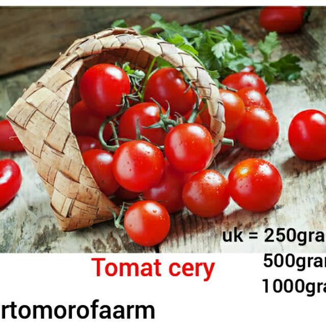 

Tomat cery merah dan kuning( 500gram)