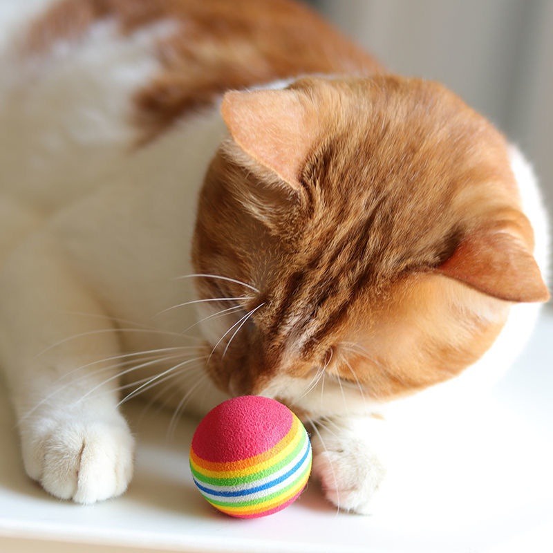 AVVET Mainan Gigitan Bola Garis Rainbow Kucing Cat Toys Mainan Hewan Peliharaan Doggy