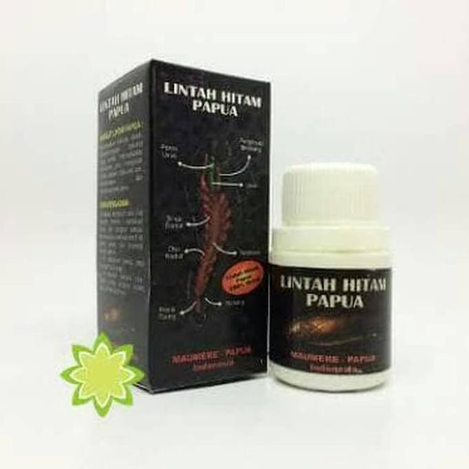 Minyak Lintah Hitam Papua