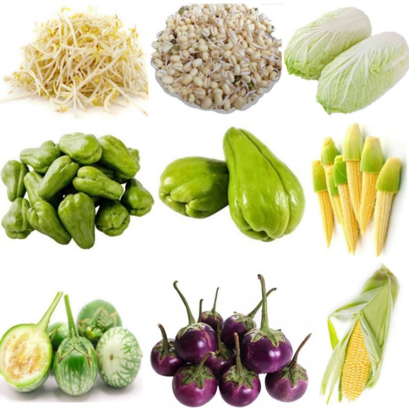 

Toge, Toge Pendek, Sawi Putih, Labu Lalap, Labu Siam, Jagung Putren, Terong Lalap, Jagung Manis, Leunca, Lenca / Sayuran Segar