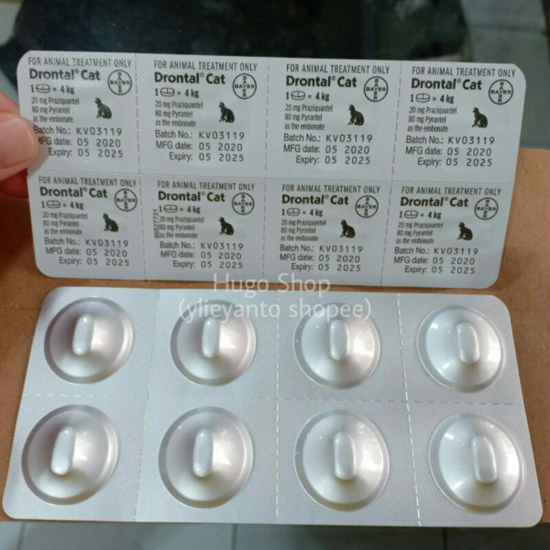 Drontal Cat obat cacing kucing / drontal kucing