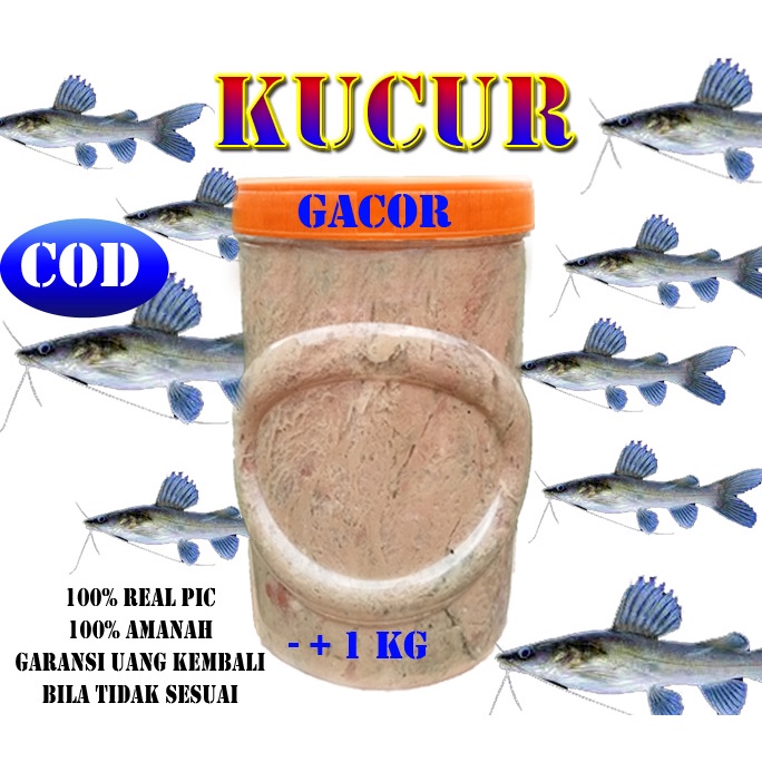 Kucur Umpan Ikan Baung SSc-