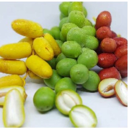 

1 Kg Kurma Muda Mix|Ruthob Promil Segar bukan Frozen