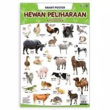 SMART KIDS POSTER HEWAN PELIHARAAN (BUKU ORIGONAL)