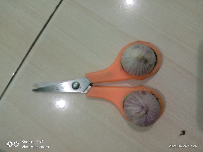 Bawang Tunggal/bawang Lanang / Bawang Putih Tunggal Mentah 500gram