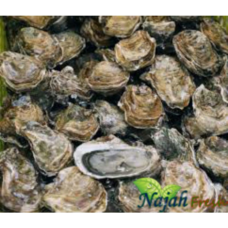

Kerang Dara Cangkang 500gr