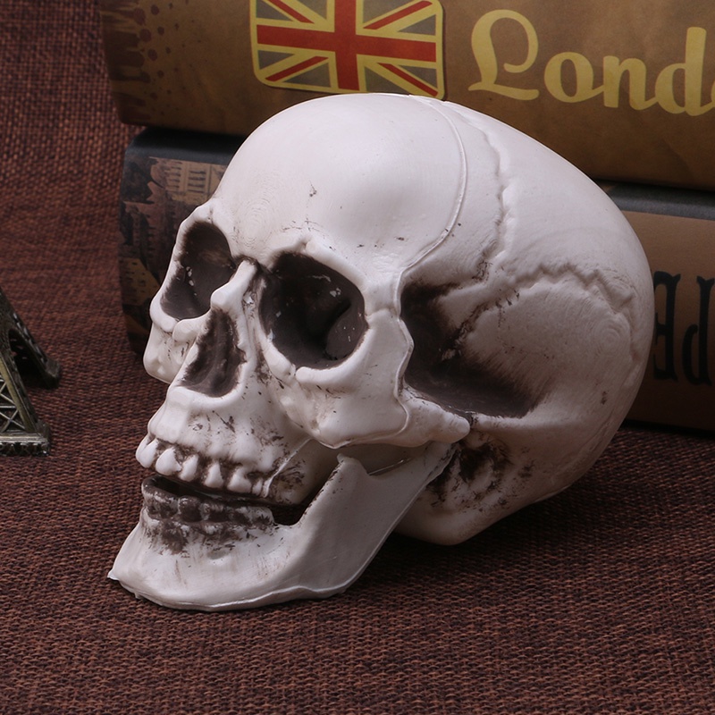 Mary Plastik Manusia Mini Skull Decor Prop Skeleton Untuk Kepala Halloween Coffee Bars Orna