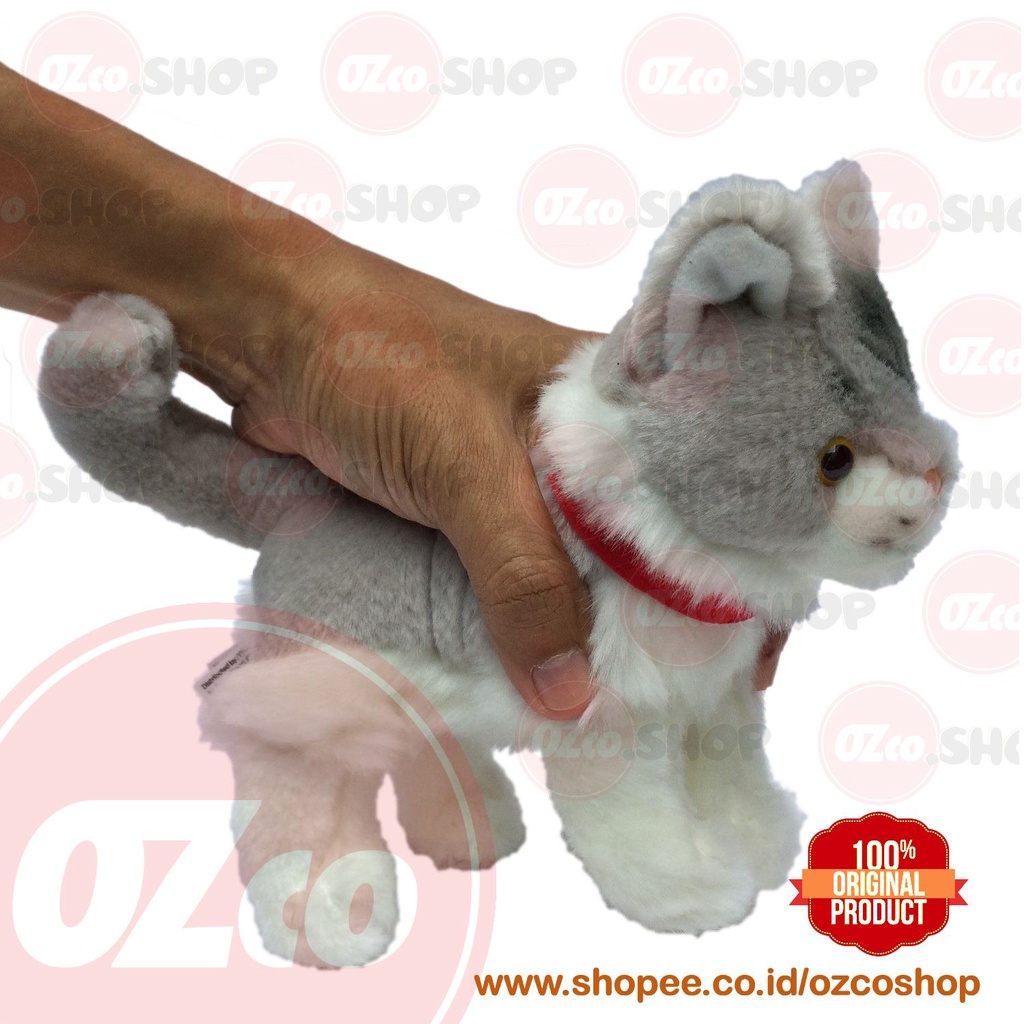 Boneka Hewan Anak Kucing Maine Coon Kitten Animatoys OZco SOZ101