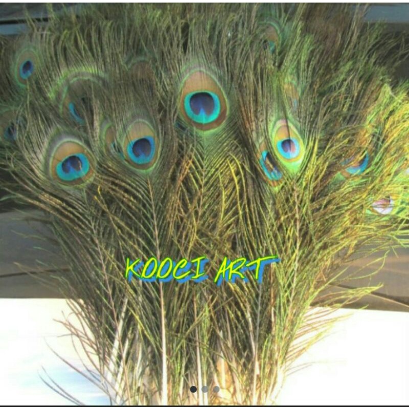 

Bulu merak bulu hias hiasan dekorasi bulu peacock feather DIY material
