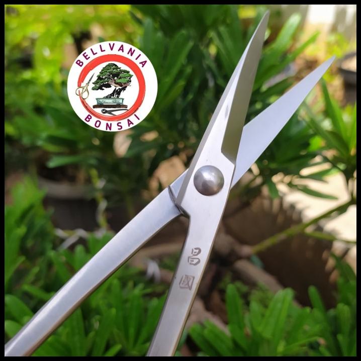 

Coarcella - Gunting Pruning Daun 21Cm Full Stainless Steel