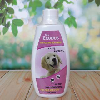 Jual Talcum Powder Medicated Dog 100gr Indonesia Shopee Indonesia