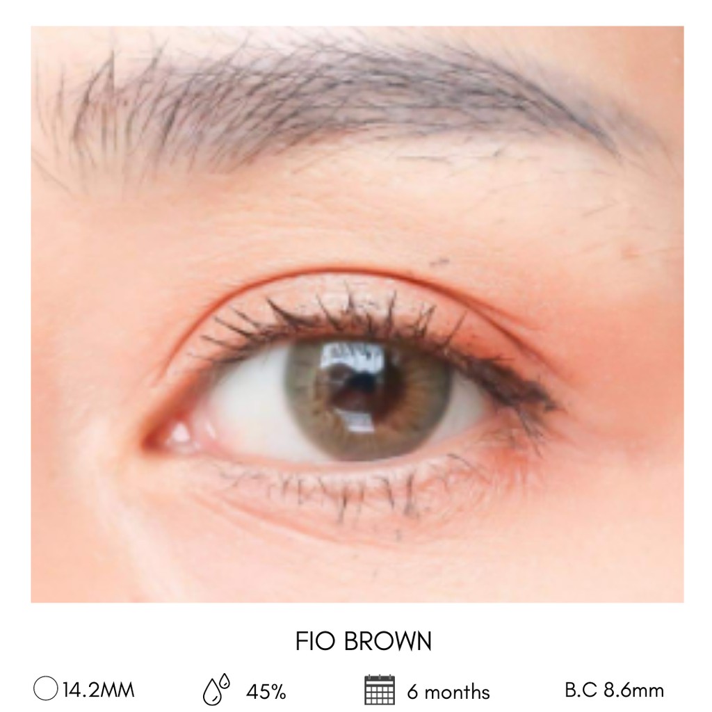SOFTLENS MINI FIO BROWN / SOFTLENS MINUS / SOFTLENS NATURAL BROWN / SOFTLENS KITTY KAWAII