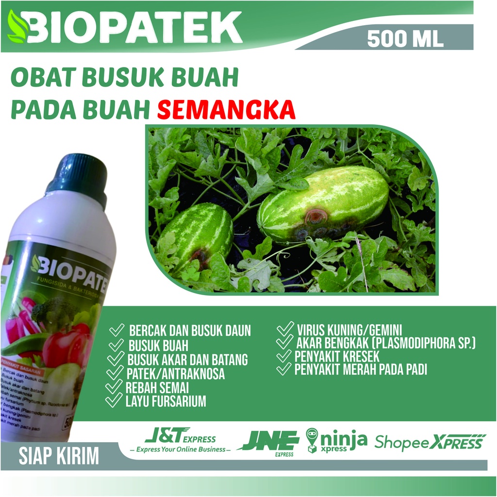 Obat Busuk Semangka Alami - Biopatek Fungisida & Bakterisida Hayati Obat Anti Patek Ampuh Mengatasi 