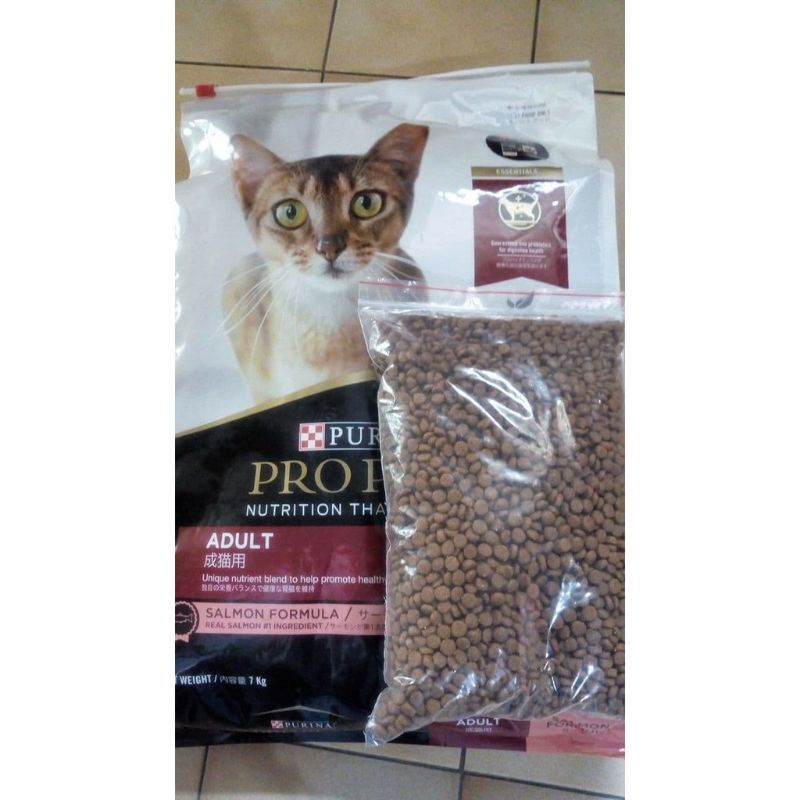 proplan kitten / adult salmon / chiken 1kg