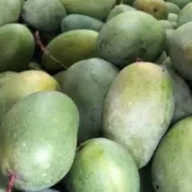 

MANGGA HARUM MANIS SUPER /1KG