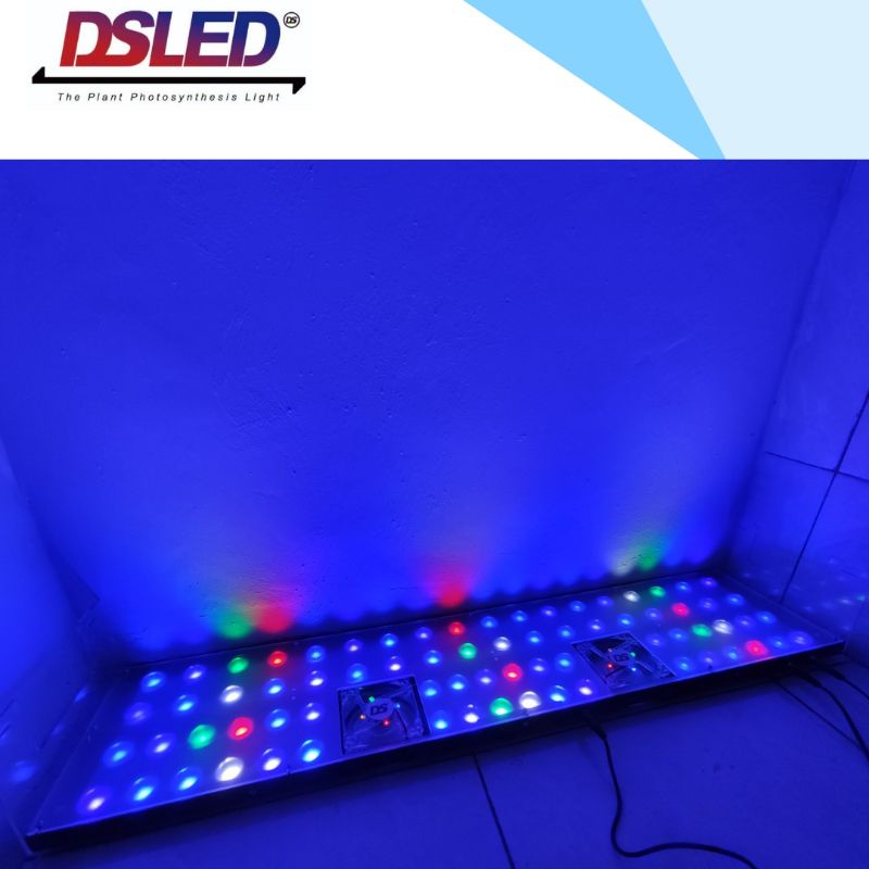 LAMPU LED HPL REEFTANK | LAMPU AQUARIUM LAUT 72WATT FULL LENSA + COVER ACRYLIC