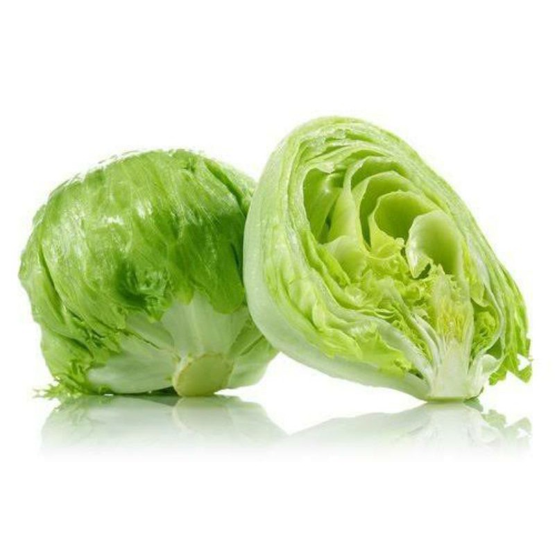 Lettuce/Head Lettuce/selada Bokor Fresh 1kg