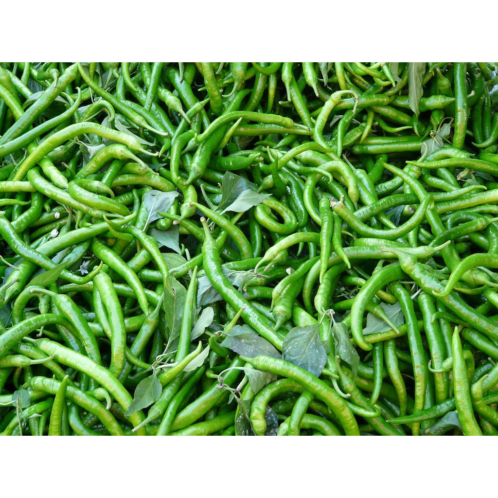 

Cabe Ijo / Cabe Hijau Keriting 100 gram