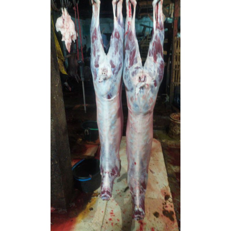 

Karkas Kambing 8 kg