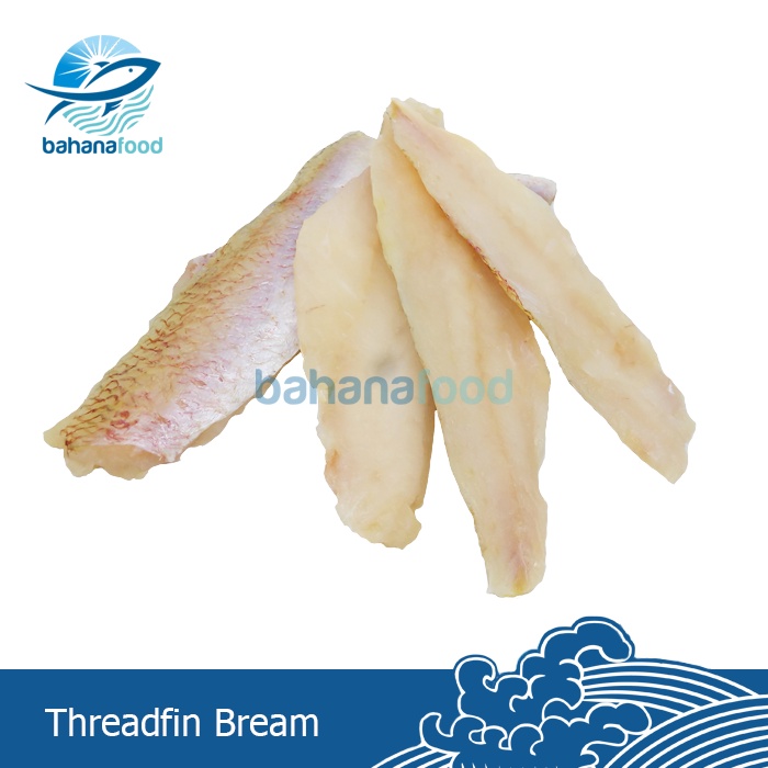 

Fillet Itoyori Frozen - Fillet Ikan Laut