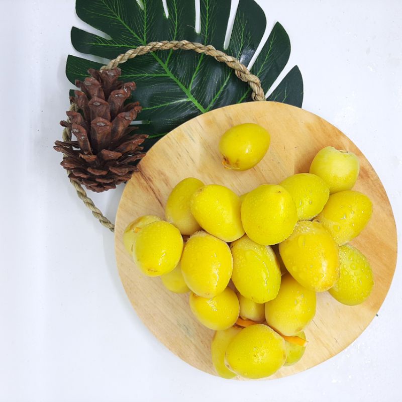Kurma muda promil kuning fresh ruthob mengkel gratis testpack