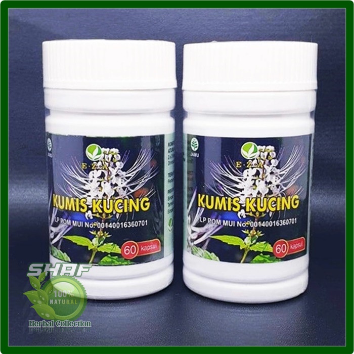 Kapsul Kumis Kucing EZA Obat Asam Urat, Ginjal, Kencing Manis Reumatik