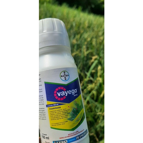 insektisida sistemik VAYEGO 200Sc 10ml