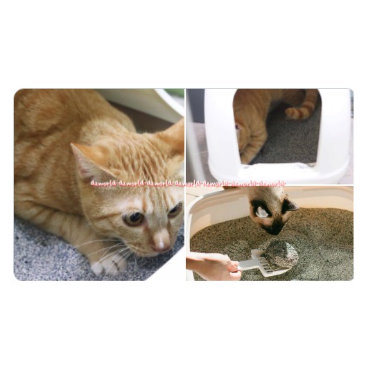 Americalitter Ultra Odor Seal Clumping Cat Litter 10L America Litter Pasir Kucing Untuk Bau Menyengat Muda Mengumpal 10 Litter