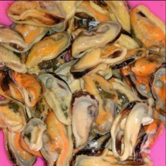 

Kerang Kupas Segar Fresh Berkualitas