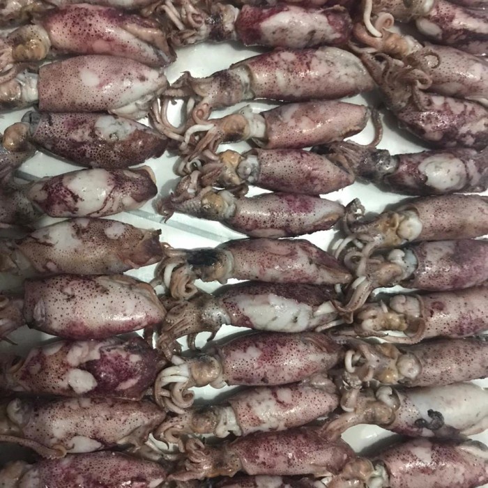 

cumi asin 1kg